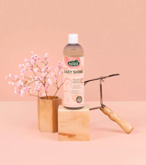 RAVENE Easy Shine Shampoo イージーシャイン シャンプー【在庫有】