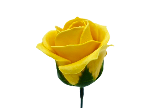 パステルバラT-Y2 ディープイエロー (15輪入りor25輪入り)