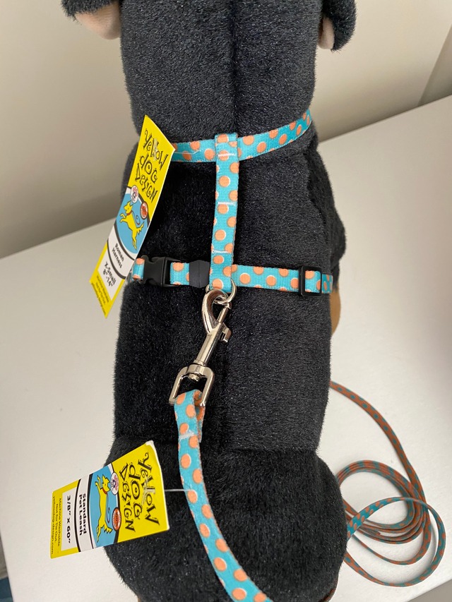 ブルー/メロン水玉  ロマンハーネス＋リードセット XSサイズ - Yellow Dog Design