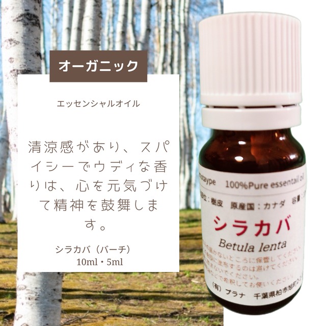 シラカバ（バーチ）（5ml）