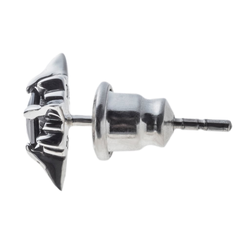 ピアス売り上げランキング8位】 RAYピアスBK 片耳用 ACE0087 RAY