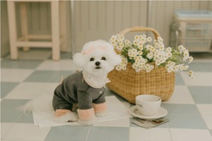 即納【pecoramou select】マリファオールインワン (チャコール)