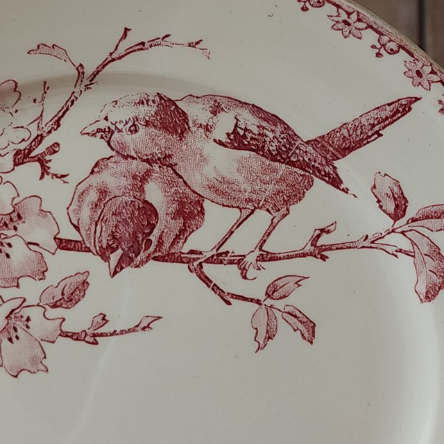 Sarreguemines サルグミンヌ デザートプレート / FAVORI #6