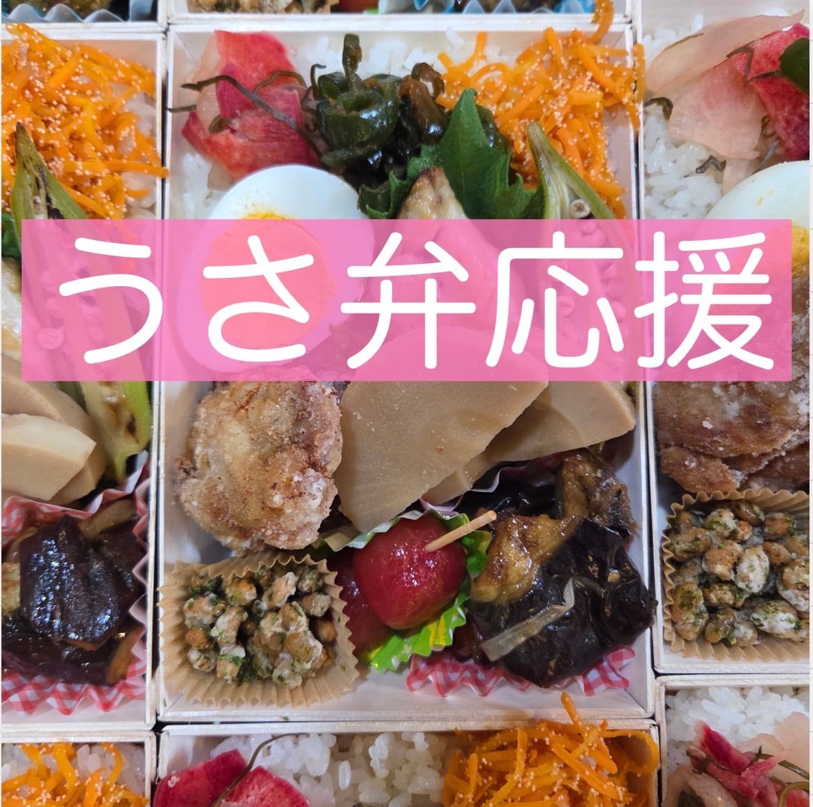 うさぎ農園 エプロン オリジナルエプロン | うさぎ農園
