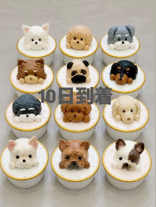 10月10日お届け【冷凍発送】オーダーカップケーキ