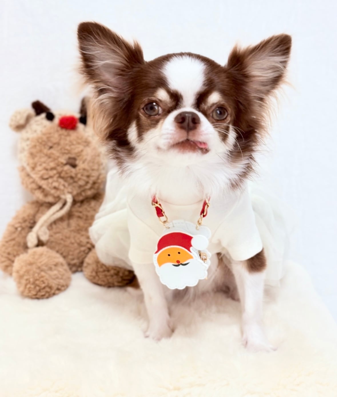 サンタさん斜め掛けバック