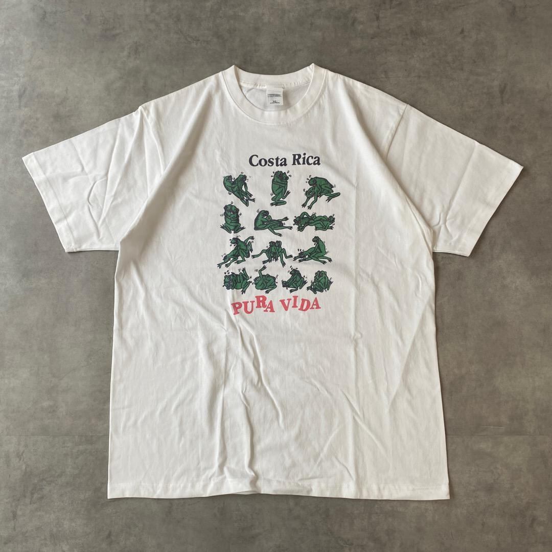 な*の様 90s　フルーツオブザルーム　カエル　蛙　Tシャツ　L usa製 アニマルTシャツ エロT 四十八手 Tシャツ カエル 蛙 XL 白 15666 | fuufu