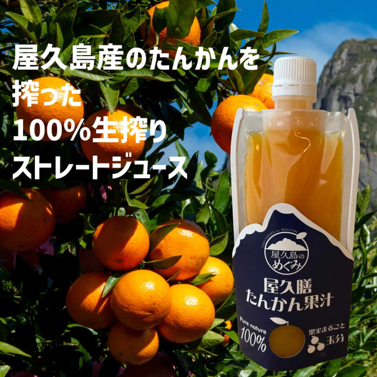 屋久島産 長寿木たんかん100％ストレートジュース 180ml お得な6本セット｜ビタミンたっぷり贈り物に最適な生搾り果汁 - 2