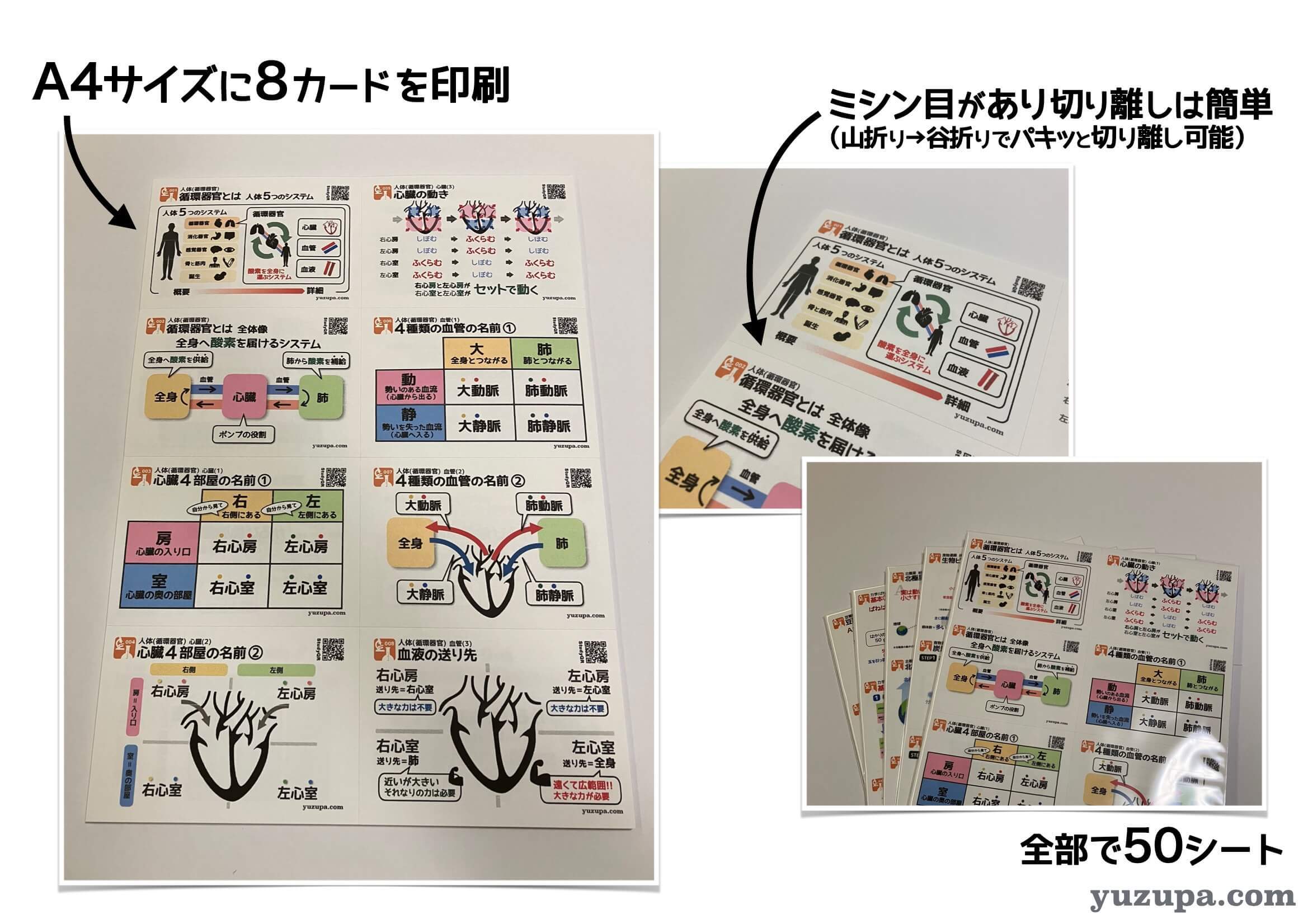 2489fdd68c010ace9cb48bb391f6c0