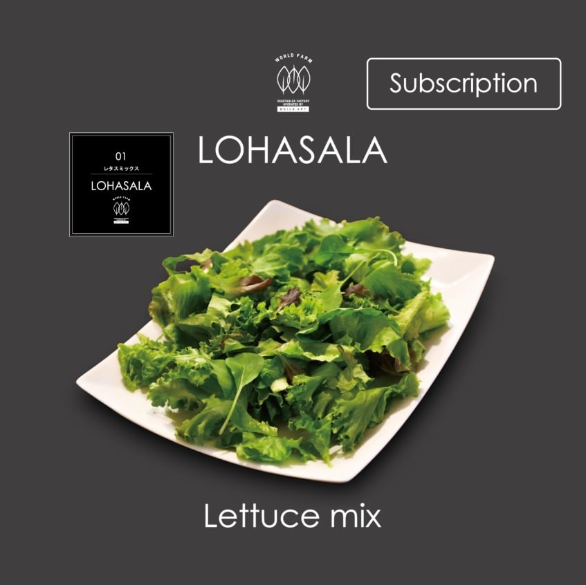 定期 Lohasala レタスミックス 小分け7個 100g 無洗led栽培野菜 農薬不使用工場栽培野菜 Lohasala ロハサラ 定期 Lohasala レタスミックス 小分け7個 100g 無洗led栽培野菜 農薬不使用工場栽培野菜 Lohasala ロハサラ