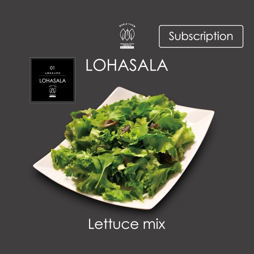 定期 Lohasala レタスミックス 小分け7個 100g 無洗led栽培野菜 農薬不使用工場栽培野菜 Lohasala ロハサラ