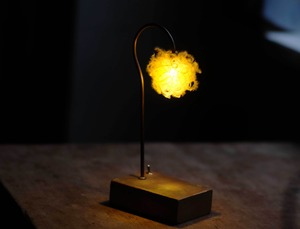 [The FINAL EXHIBITION] 森の小さな灯 no.8  クレマチスⅱ