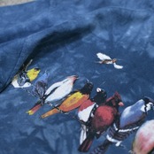 THE MOUNTAIN bird print tee