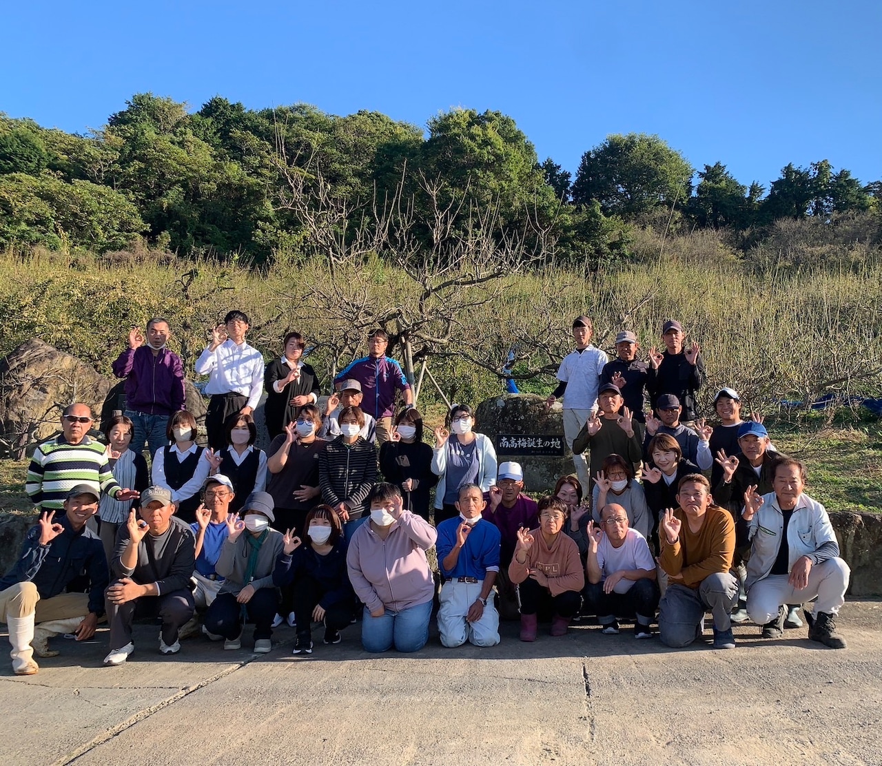 南高梅の会 有機JAS認証徳用梅干セット・画像9