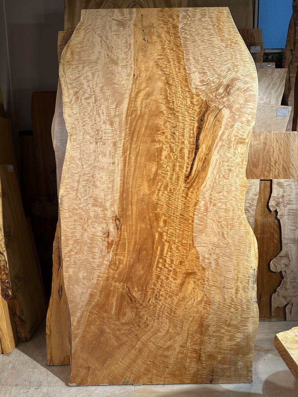 Premium】栃（トチ）_2190×740-1050-1050×65_青山店_テーブル天板/一枚