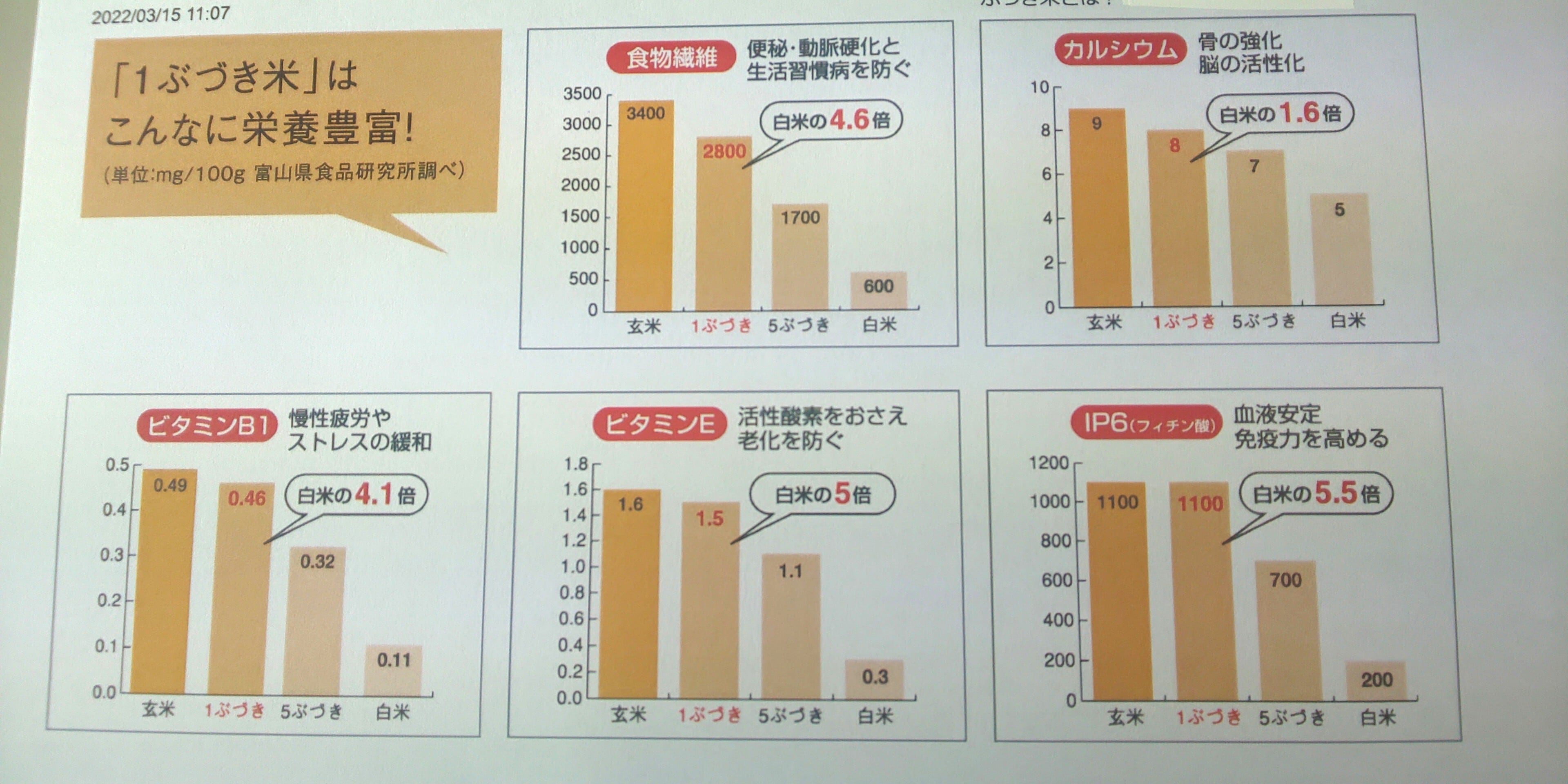 埼玉県】地域ブランド米”北川辺こしひかり” 10kg＜新米＞ お陰様