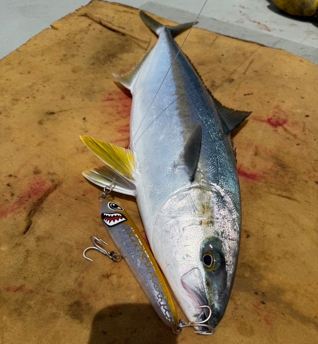 Unexposed 160 v.1.000