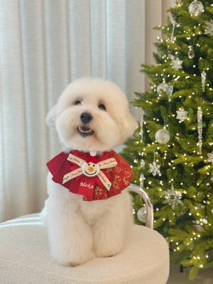 限定予約【MR.MOKA】Holidy Half＆Half 2block Accordion Cape