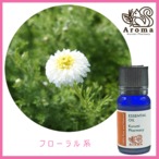 カモマイル・ローマン　   10mL 　 Chamomile  roman