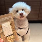 【定期便限定ずっと5%OFF】1袋から継続できる腸活！お試し定期便