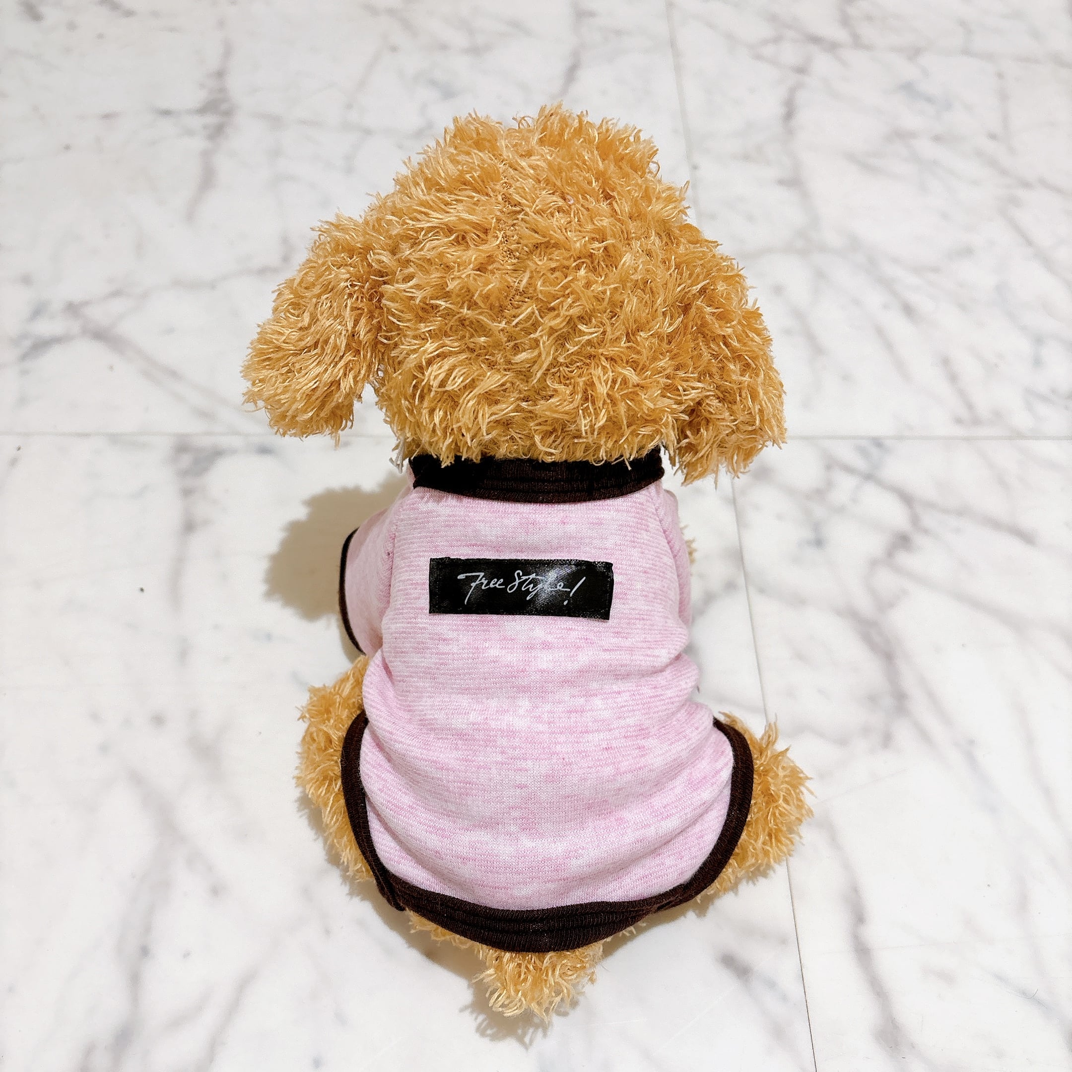 超小型犬・パピー犬 スモールサイズ | ronkichimaru(ロンキチマル