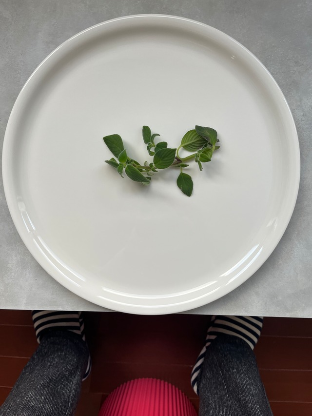 ピザプレートpresentation32.5cm