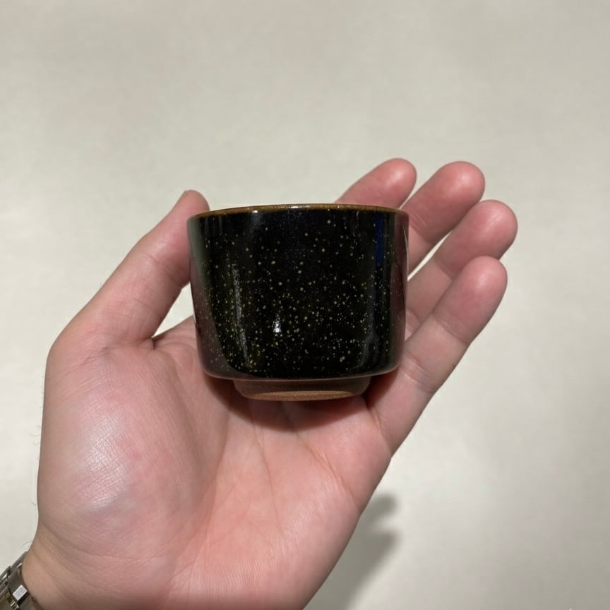 再入荷】ぐい呑(100cc) 星雲天目 | TSUNE;田中恒子の器 オンラインストア