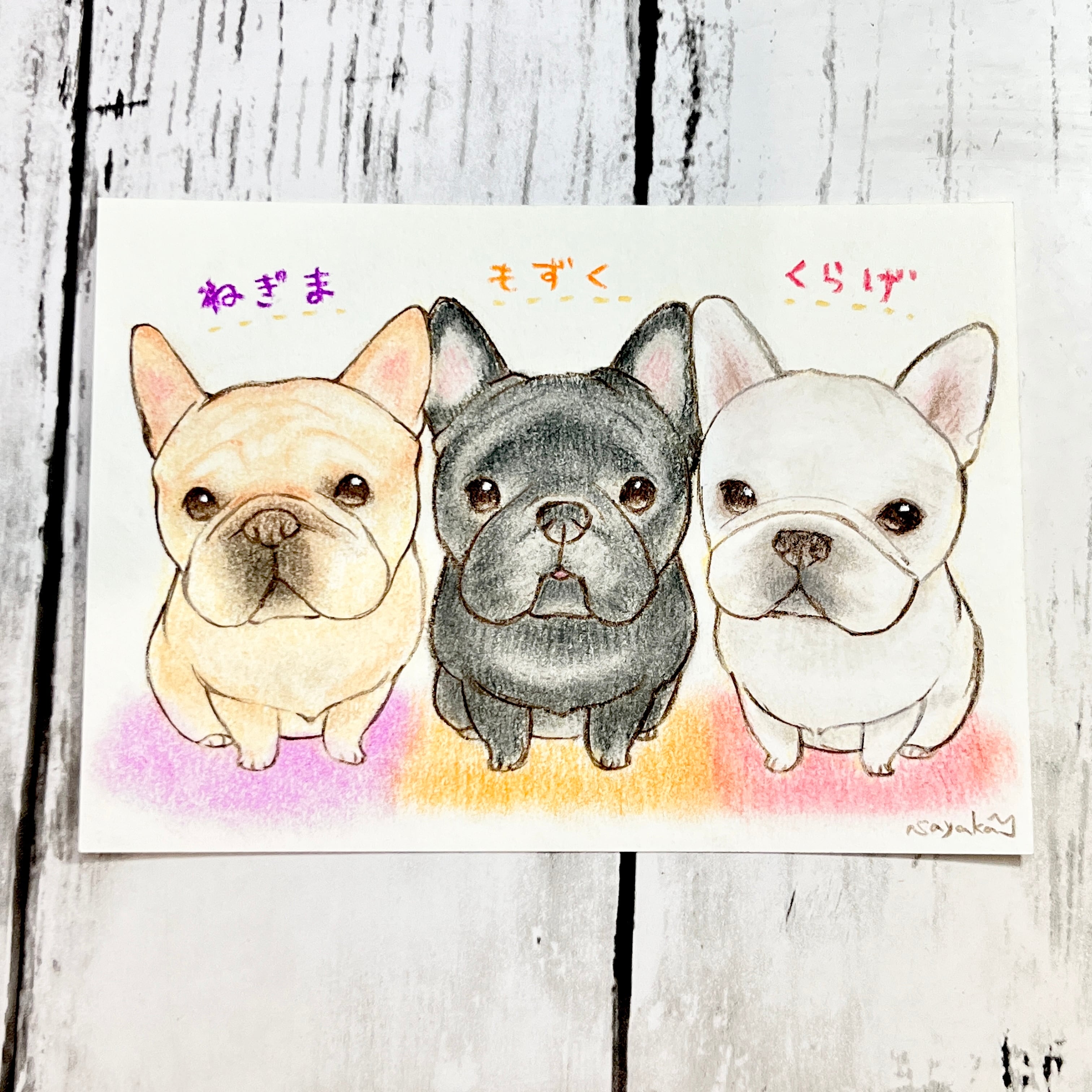 ポストカード似顔絵三頭分 | ペットイラストはぐもふ