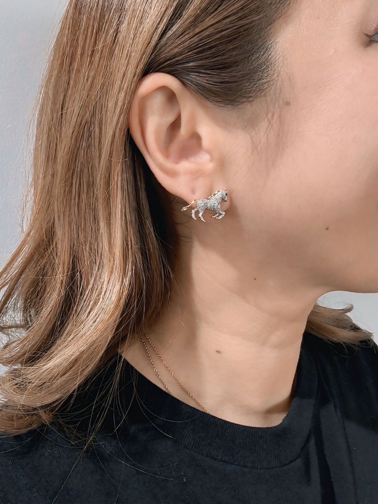 ホース ( ゴールド / シルバー )