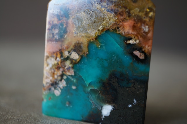 インドネシア産ブルーペトリファイドウッド Blue Opalized Petrified Wood 1976