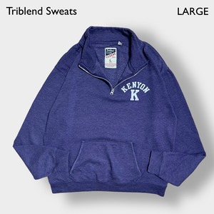 Triblend Sweats ハーフジップ スウェット ワンポイントロゴ 刺繍 プルオーバー トレーナー L パープル ユニセックス US古着