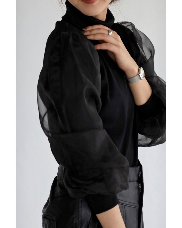 袖オーガンジーリブニットソー