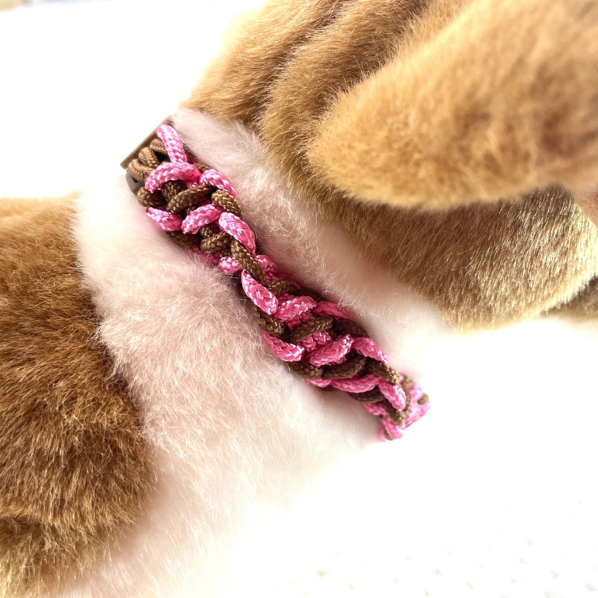 公式]＃272パラコードでマクラメ編み 猫と犬の手作り首輪 | 犬猫の皮膚