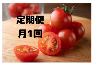 月１回定期便2.5kg　8％off　ミニトマト　農カード付