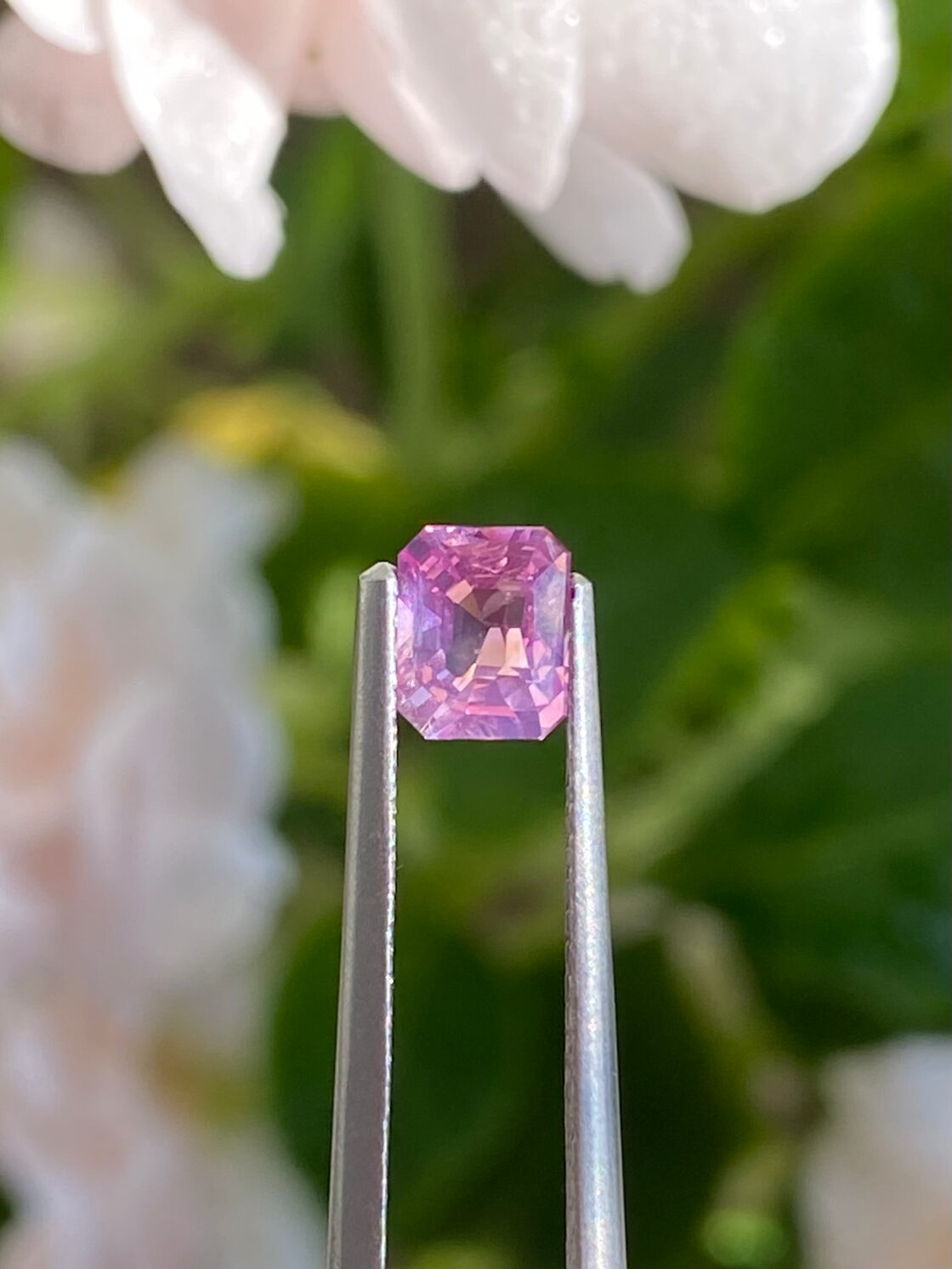 鑑定カード付き 0.72ct スリランカ産 天然 非加熱 ピンクサファイア 