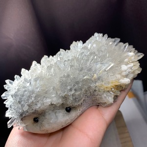 激レア！希少なダブルフェイスハリネズミ・水晶クラスター