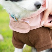38DOG RAINCORT / KAHKI