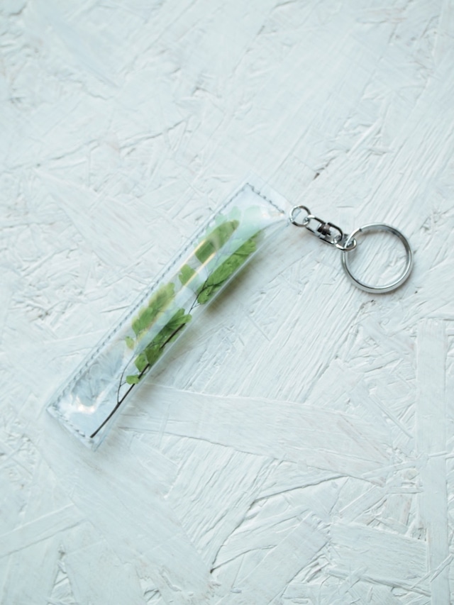 hacomidori　botanical strap／ボタニカルストラップ （S）アジアンタム 【hcm-bs-at-s-2】