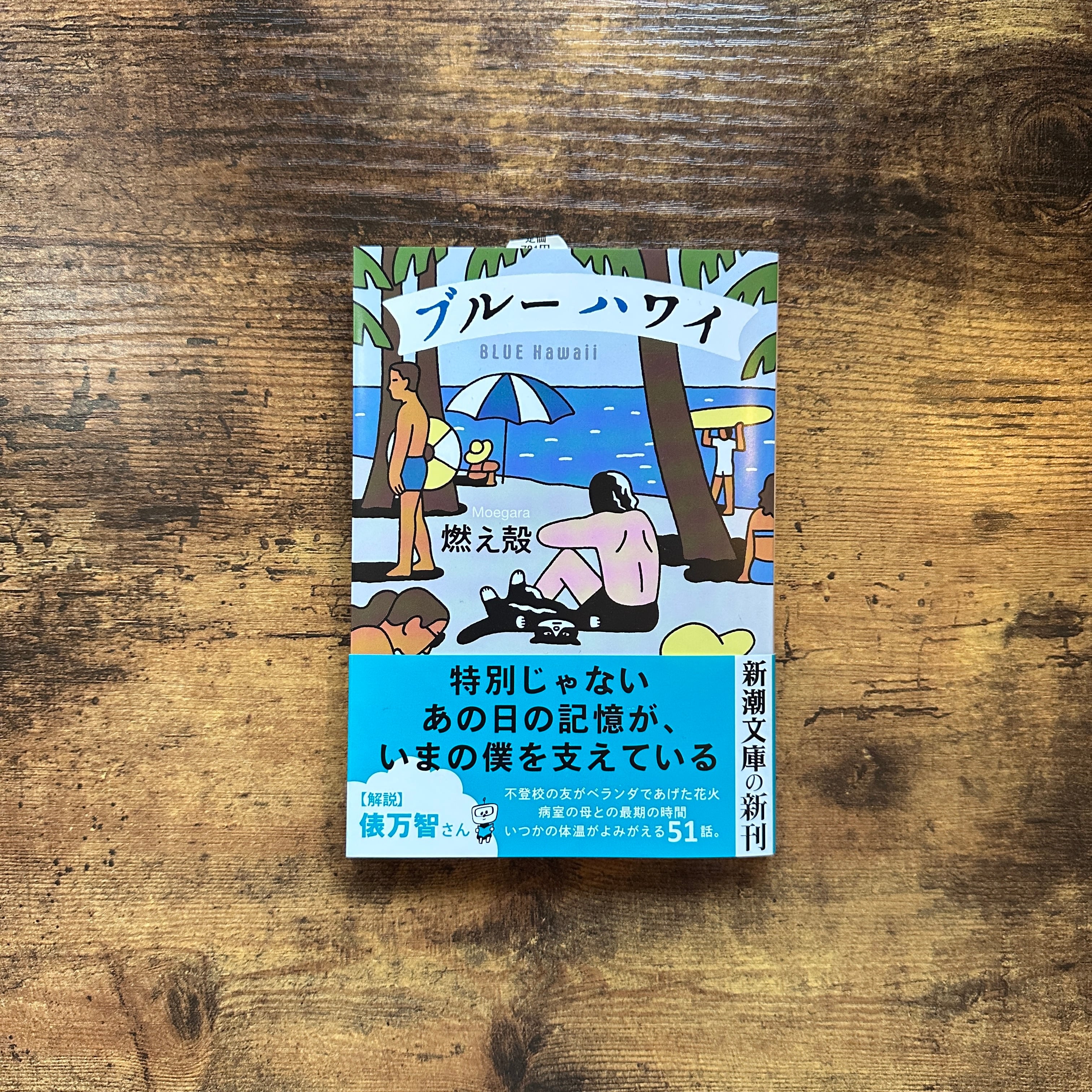光村図書 令和6年4月新刊 小学教科書 こくご 一上かざぐるま ［教番