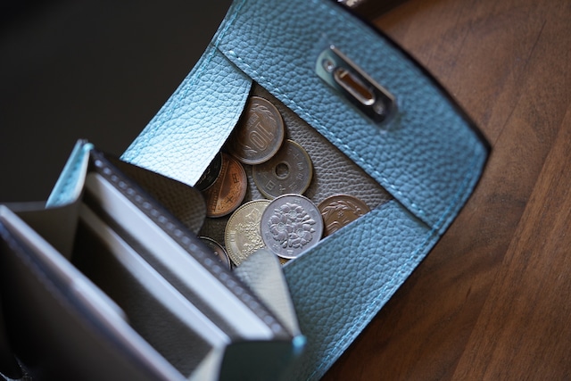 【即納品】ギャルソンウォレット ミニ スカイ