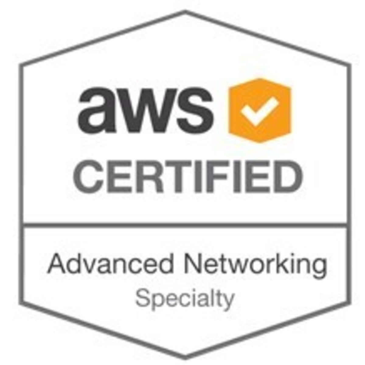 【ANS-C00】AWS Certified Advanced Networking - Specialty【最新348q ...