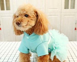【XL即納】　ドッグウェア　ふんわりチュールスカート付エレガントブルーワンピース　犬服