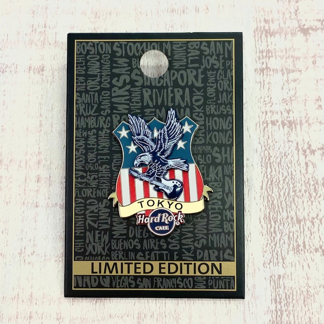 Americana Eagle Pin