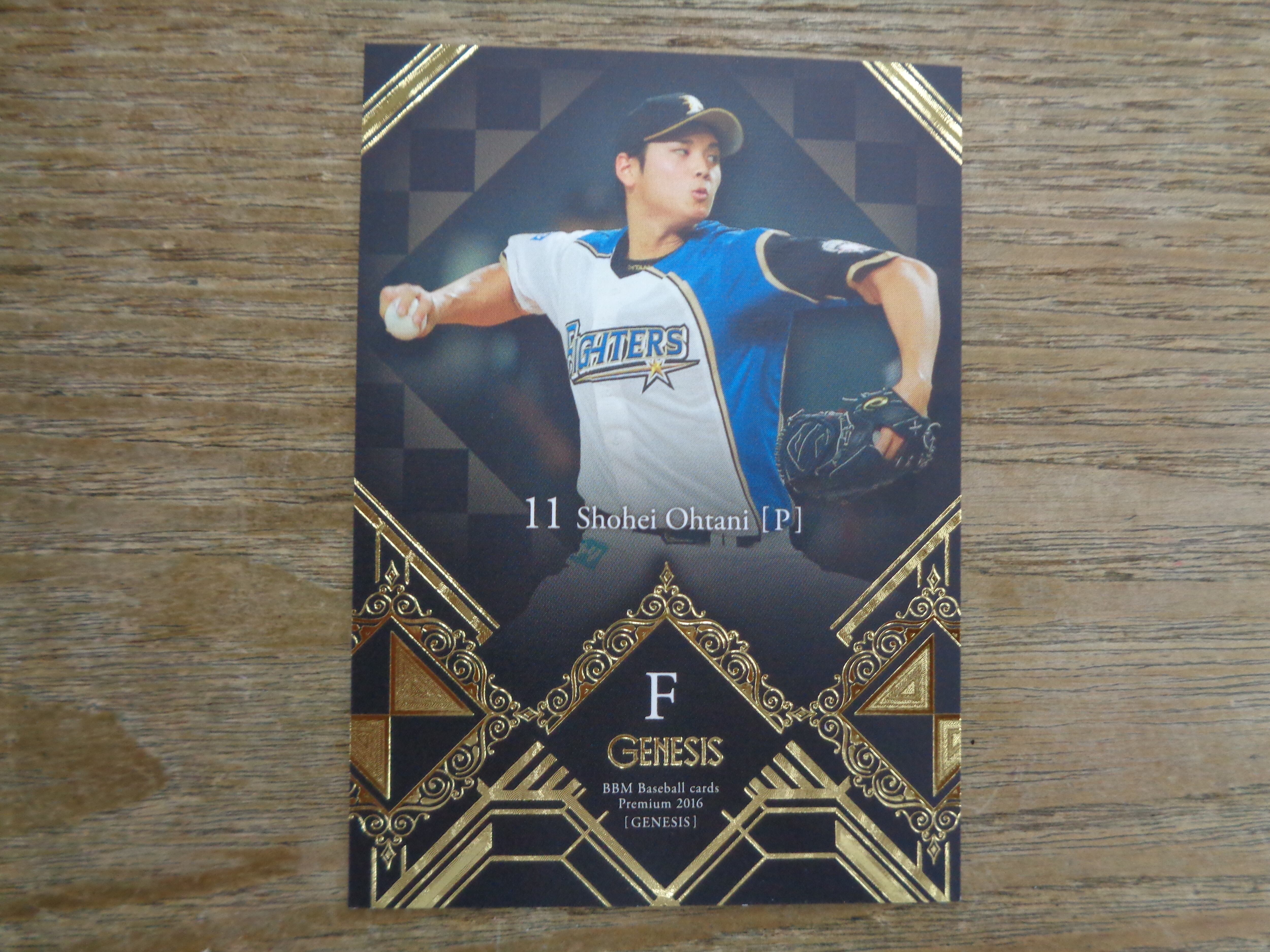 オーナーズリーグ2013 大谷翔平 インフィニティ ルーキーカード 2枚組