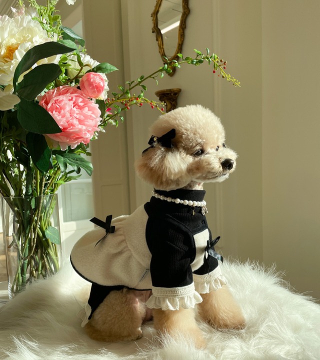 即納【pecoramou select】Bear onepice