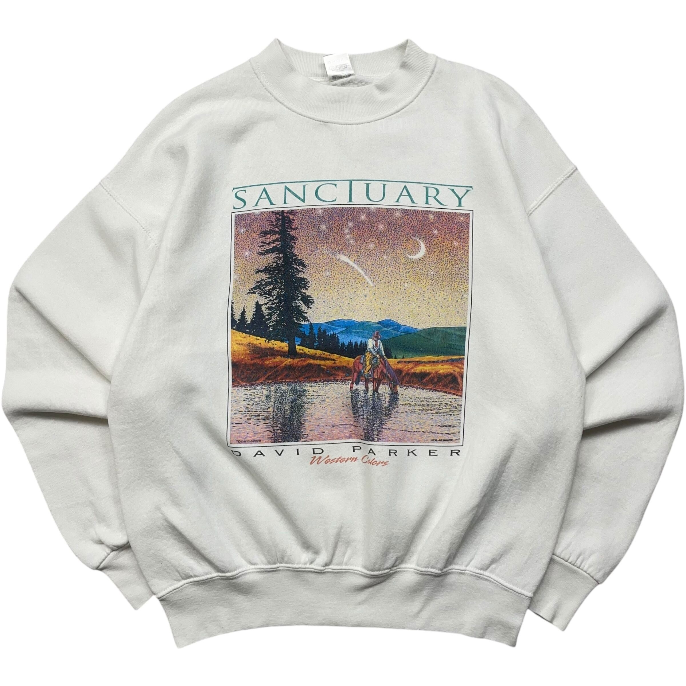 《L》 ゴッホ風 FRUIT OF THE ROOM フルーツオブザルーム プリント カウボーイ USA製 90年代 vintage no.4914