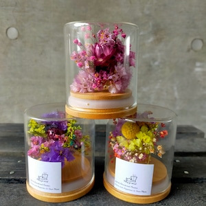 ”繋ぐ”ギフトS【”TSUNAGU” Dried flowers Gift】