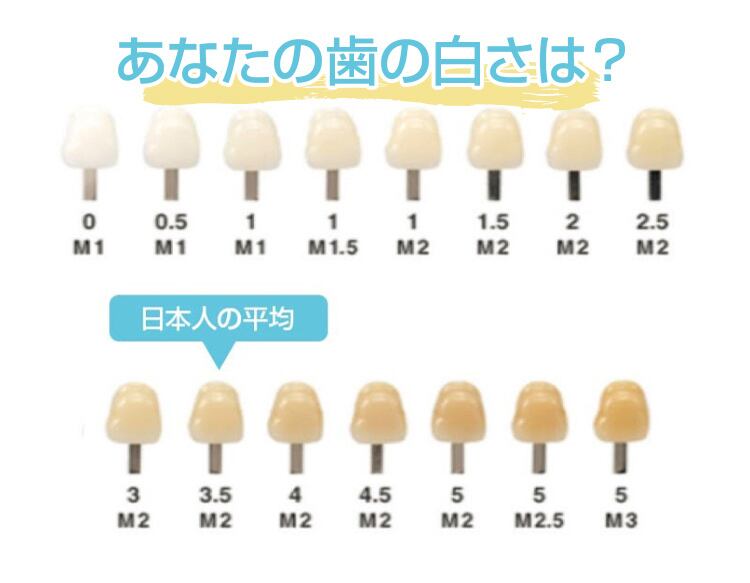 HAKARAハカラセルフホワイトニング　ホームケアセット