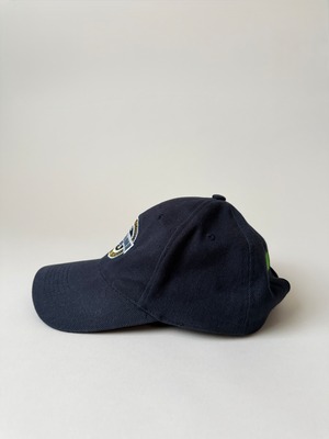 Inaugural season of Yankee Stadium cap