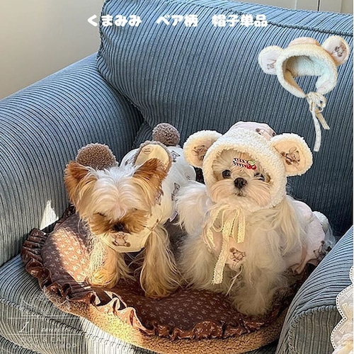 予約【№B04247-②】くまみみ ベア柄 帽子単品